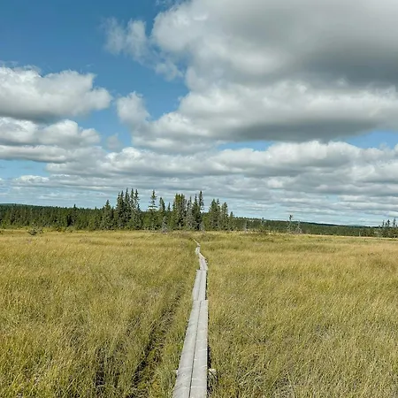 Log By Mostertoppen Stadium