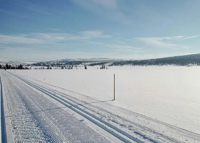 Log By Mostertoppen Stadium Øyer