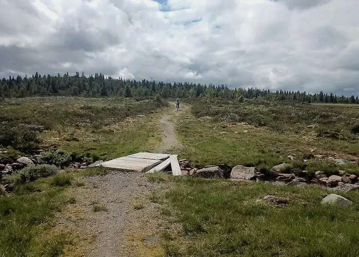 Log By Mostertoppen Stadium Øyer